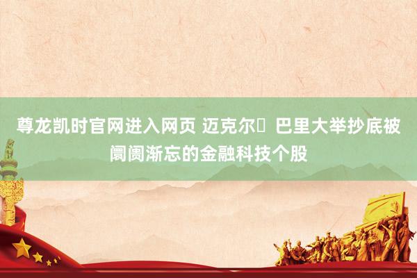 尊龙凯时官网进入网页 迈克尔・巴里大举抄底被阛阓渐忘的金融科技个股
