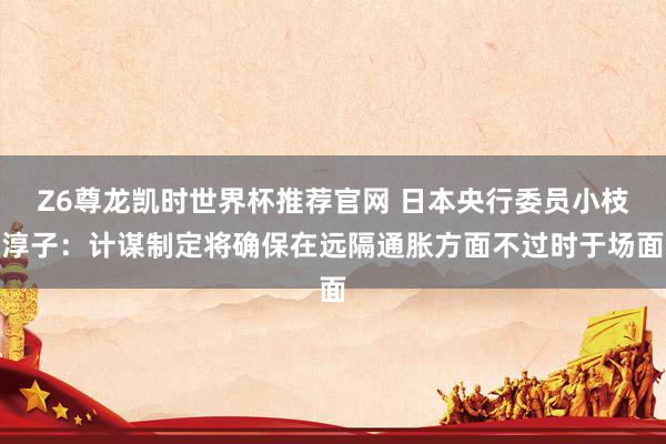 Z6尊龙凯时世界杯推荐官网 日本央行委员小枝淳子：计谋制定将确保在远隔通胀方面不过时于场面