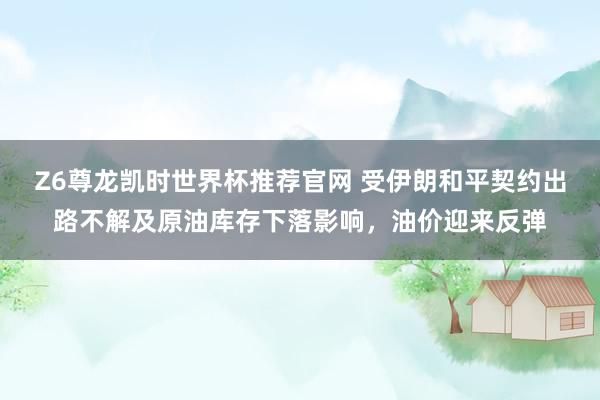 Z6尊龙凯时世界杯推荐官网 受伊朗和平契约出路不解及原油库存下落影响，油价迎来反弹