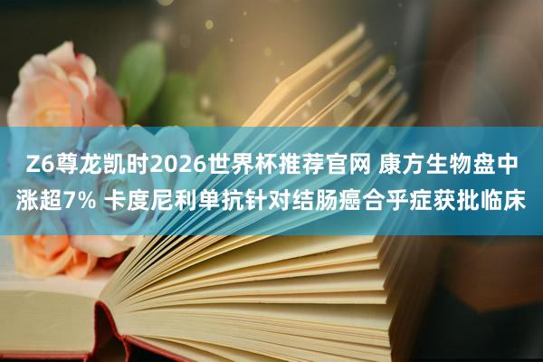 Z6尊龙凯时2026世界杯推荐官网 康方生物盘中涨超7% 卡度尼利单抗针对结肠癌合乎症获批临床