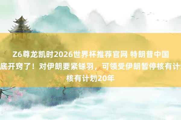 Z6尊龙凯时2026世界杯推荐官网 特朗普中国行后澈底开窍了！对伊朗要紧铩羽，可领受伊朗暂停核有计划20年