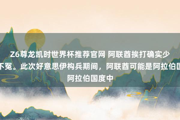 Z6尊龙凯时世界杯推荐官网 阿联酋挨打确实少量也不冤。此次好意思伊构兵期间，阿联酋可能是阿拉伯国度中