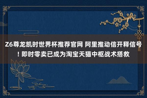 Z6尊龙凯时世界杯推荐官网 阿里推动信开释信号! 即时零卖已成为淘宝天猫中枢战术搭救