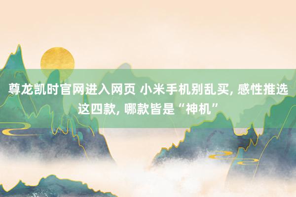 尊龙凯时官网进入网页 小米手机别乱买， 感性推选这四款， 哪款皆是“神机”