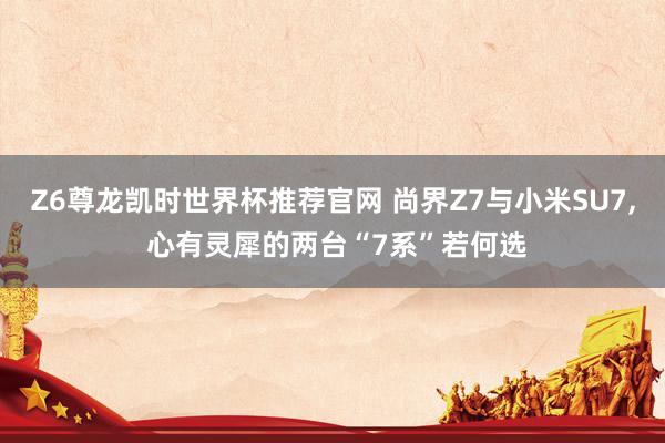 Z6尊龙凯时世界杯推荐官网 尚界Z7与小米SU7， 心有灵犀的两台“7系”若何选