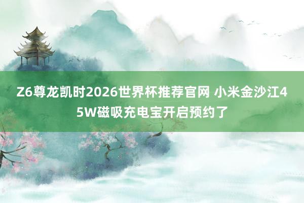 Z6尊龙凯时2026世界杯推荐官网 小米金沙江45W磁吸充电宝开启预约了