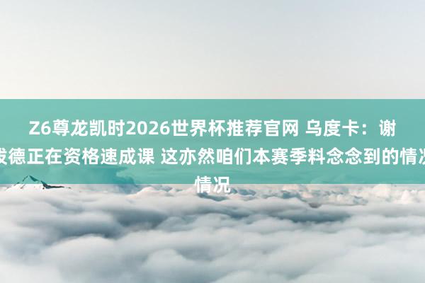 Z6尊龙凯时2026世界杯推荐官网 乌度卡：谢泼德正在资格速成课 这亦然咱们本赛季料念念到的情况