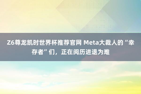 Z6尊龙凯时世界杯推荐官网 Meta大裁人的“幸存者”们,正在阅历进退为难
