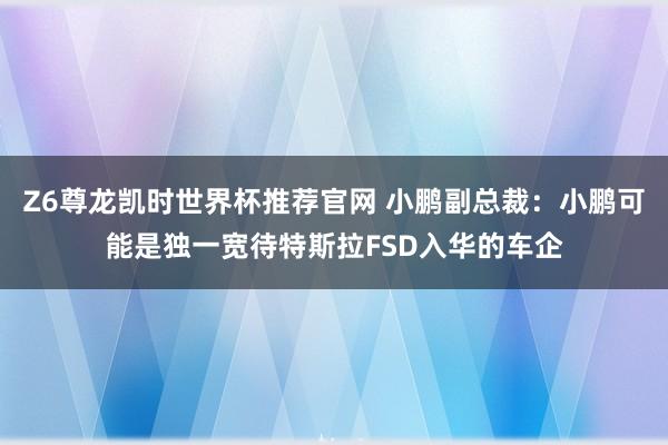 Z6尊龙凯时世界杯推荐官网 小鹏副总裁：小鹏可能是独一宽待特斯拉FSD入华的车企
