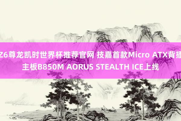 Z6尊龙凯时世界杯推荐官网 技嘉首款Micro ATX背插主板B850M AORUS STEALTH ICE上线