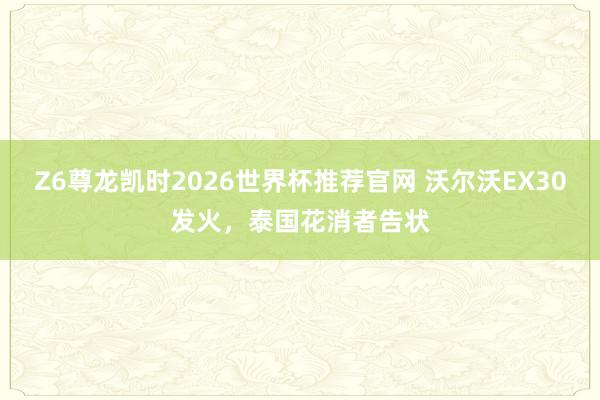 Z6尊龙凯时2026世界杯推荐官网 沃尔沃EX30发火，泰国花消者告状