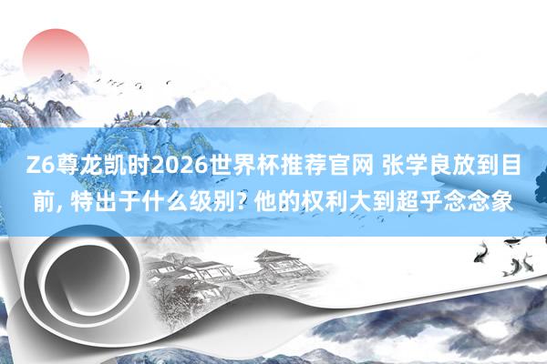 Z6尊龙凯时2026世界杯推荐官网 张学良放到目前， 特出于什么级别? 他的权利大到超乎念念象