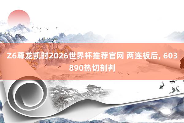 Z6尊龙凯时2026世界杯推荐官网 两连板后, 603890热切剖判