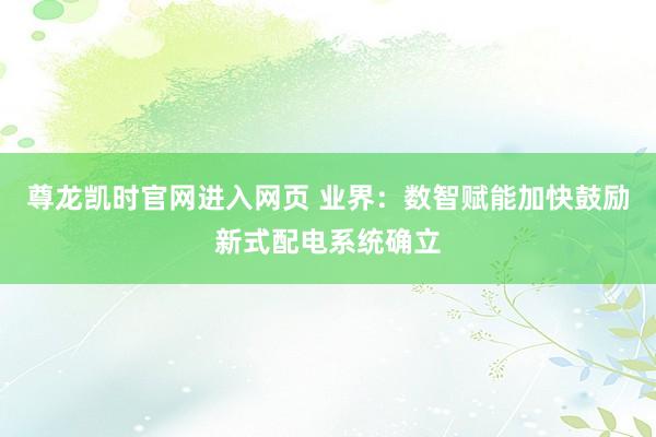 尊龙凯时官网进入网页 业界：数智赋能加快鼓励新式配电系统确立