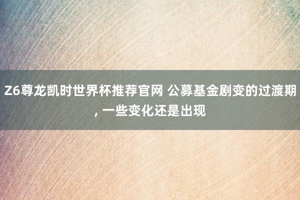 Z6尊龙凯时世界杯推荐官网 公募基金剧变的过渡期， 一些变化还是出现