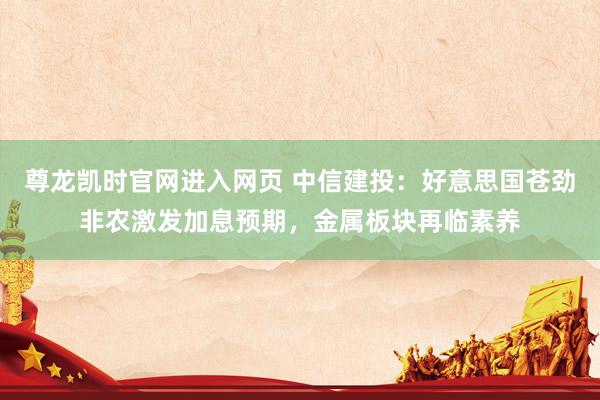 尊龙凯时官网进入网页 中信建投：好意思国苍劲非农激发加息预期，金属板块再临素养