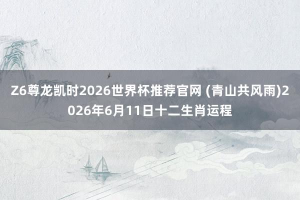 Z6尊龙凯时2026世界杯推荐官网 (青山共风雨)2026年6月11日十二生肖运程