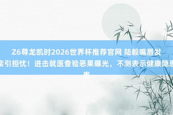 Z6尊龙凯时2026世界杯推荐官网 陆毅嘴唇发紫引担忧！进击就医查验恶果曝光，不测表示健康隐患