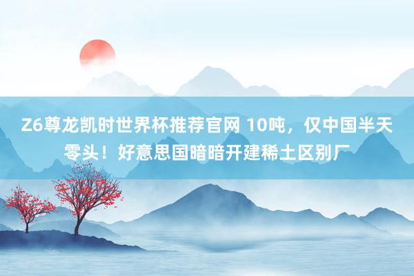 Z6尊龙凯时世界杯推荐官网 10吨，仅中国半天零头！好意思国暗暗开建稀土区别厂