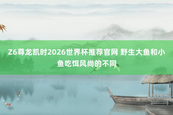 Z6尊龙凯时2026世界杯推荐官网 野生大鱼和小鱼吃饵风尚的不同