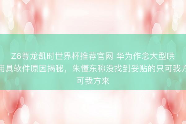 Z6尊龙凯时世界杯推荐官网 华为作念大型哄骗用具软件原因揭秘，朱懂东称没找到妥贴的只可我方来