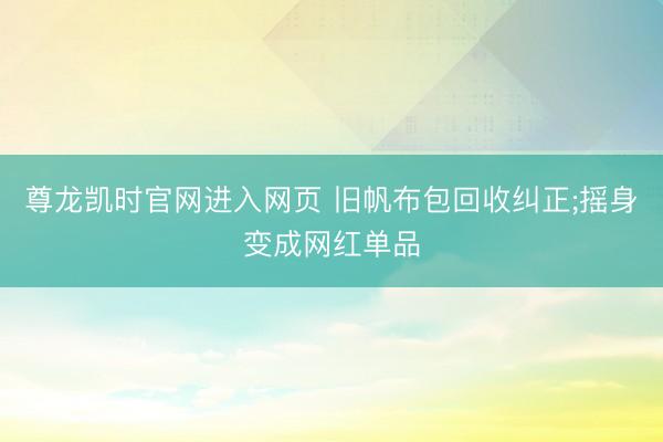 尊龙凯时官网进入网页 旧帆布包回收纠正;摇身变成网红单品