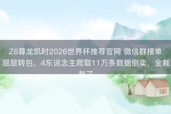 Z6尊龙凯时2026世界杯推荐官网 微信群接单、层层转包，4东说念主爬取11万条数据倒卖，全栽了